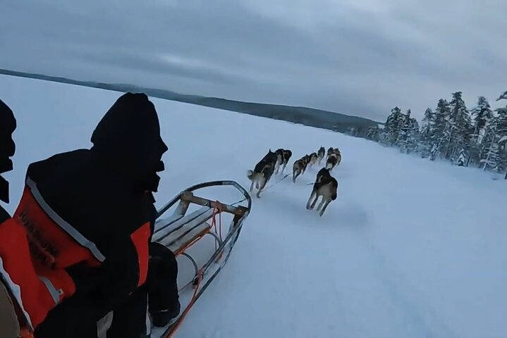Alaska Dog Sled or ATV Ride in Fairbanks - Photo 1 of 6